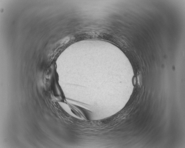 X0000053091347200508081300