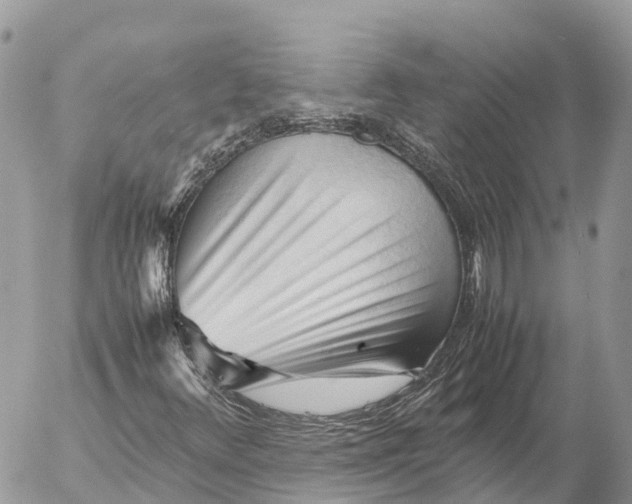 X0000053091348200508081300