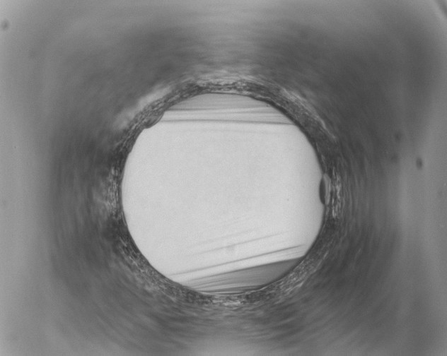 X0000053091350200508081300