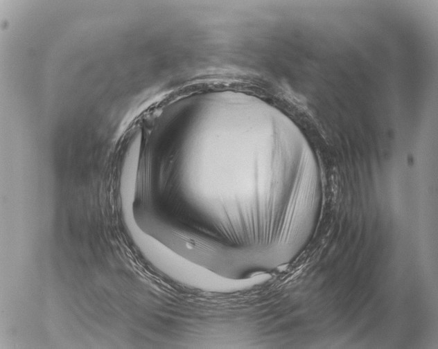 X0000053091352200508081300