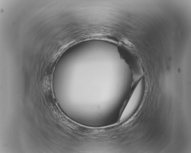 X0000053091353200508081300