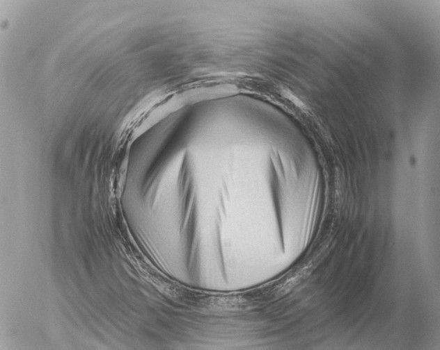 X0000053091354200508081300