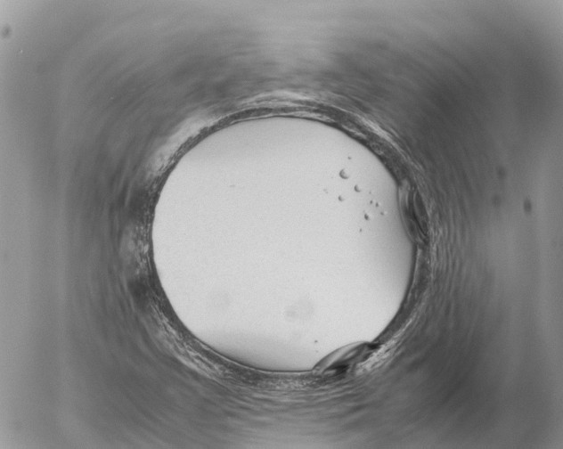 X0000053091355200508081300