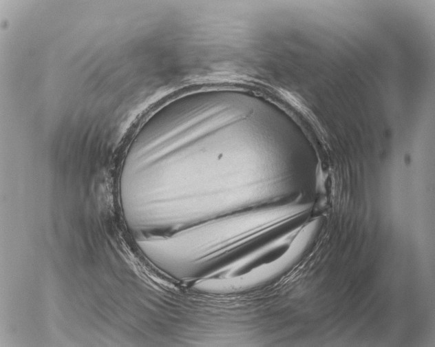 X0000053091356200508081300