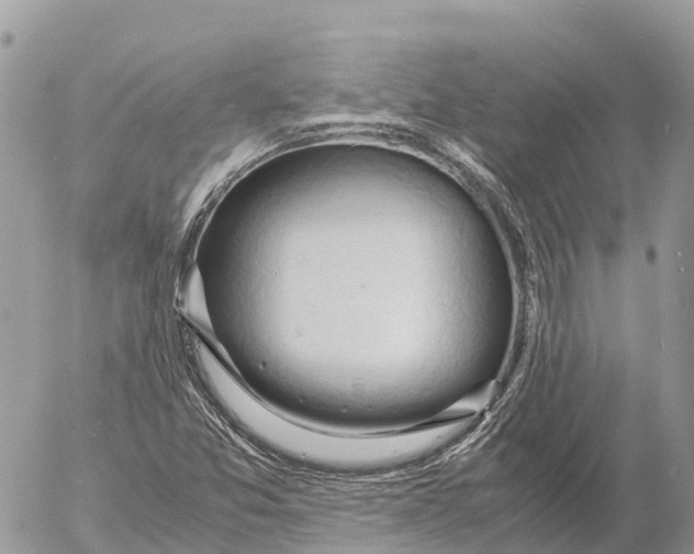 X0000053091357200508081300