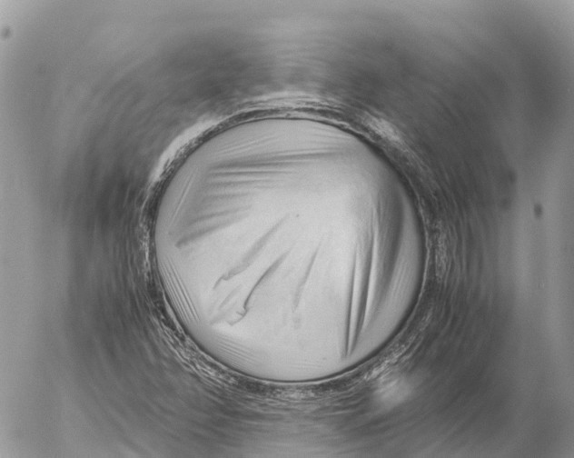 X0000053091358200508081300