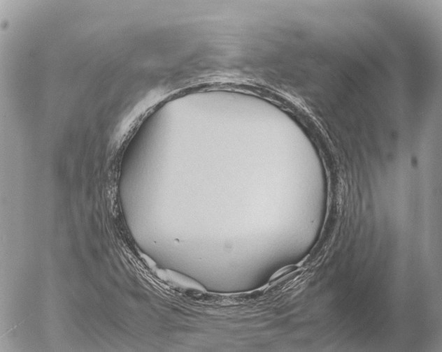 X0000053091359200508081300