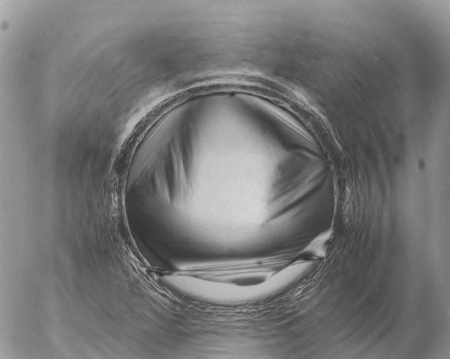 X0000053091360200508081300