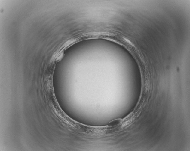 X0000053091361200508081300