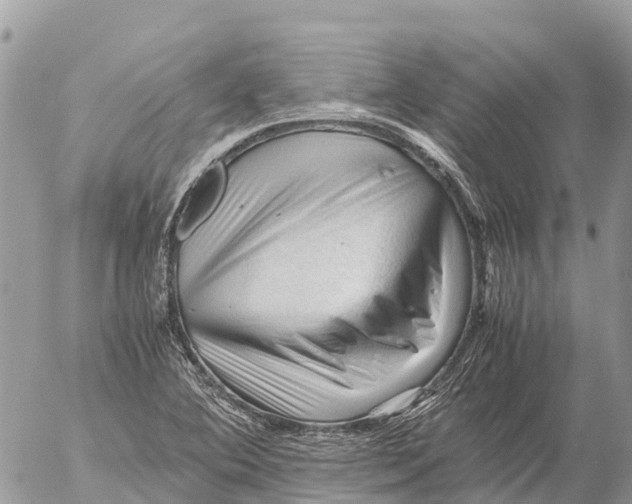 X0000053091364200508081300