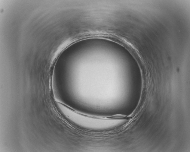 X0000053091365200508081300