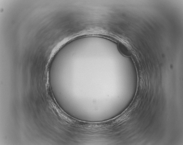 X0000053091366200508081300