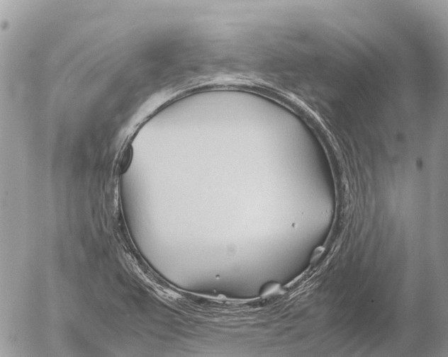 X0000053091367200508081300