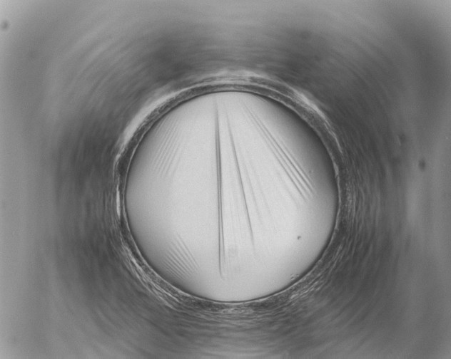 X0000053091368200508081300