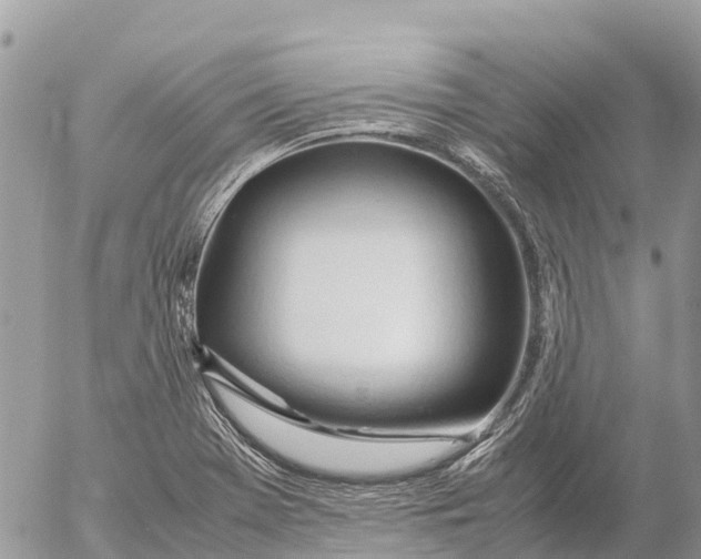 X0000053091369200508081300