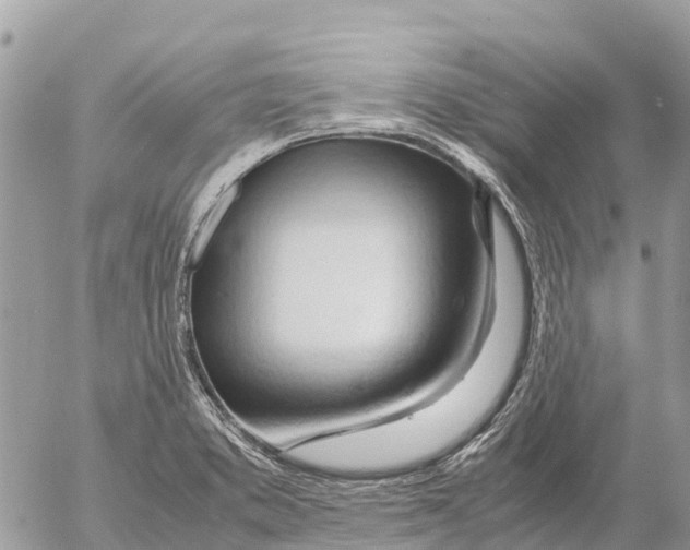 X0000053091373200508081300