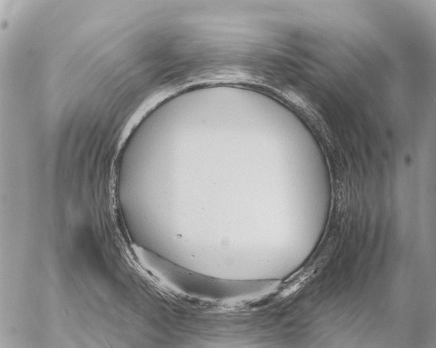 X0000053091374200508081300