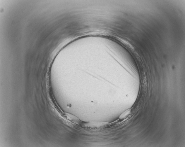 X0000053091375200508081300