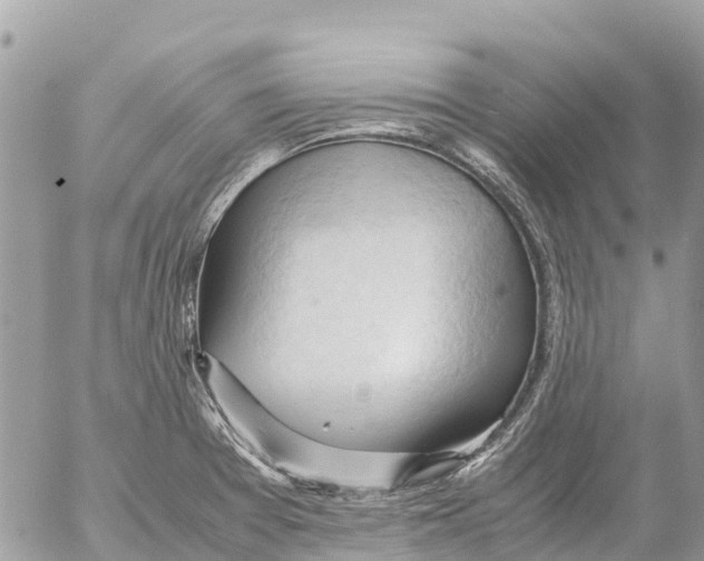 X0000053091377200508081300