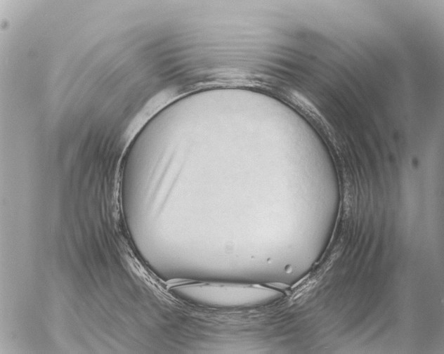 X0000053091378200508081300