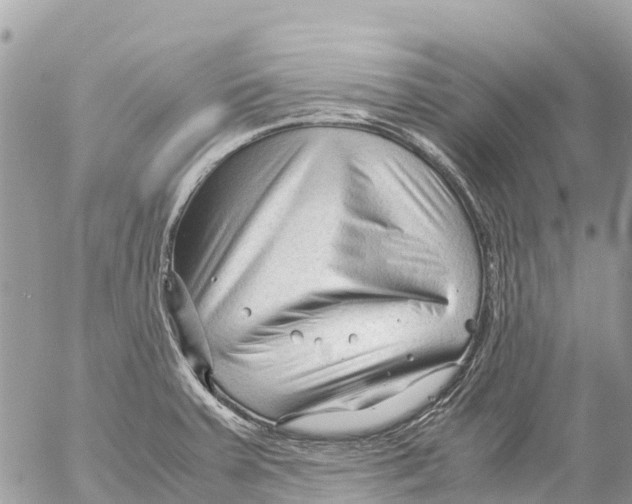 X0000053091379200508081300