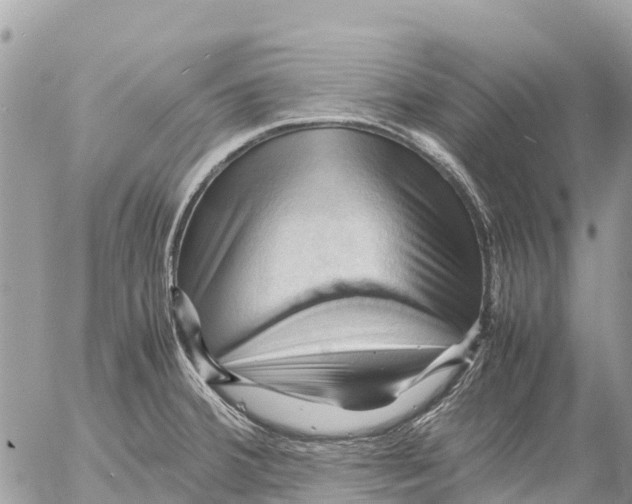 X0000053091380200508081300