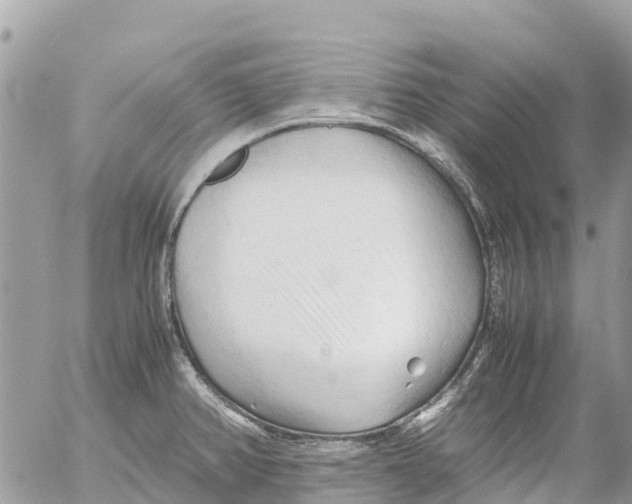 X0000053091382200508081300