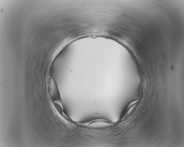 X0000053091383200508081300