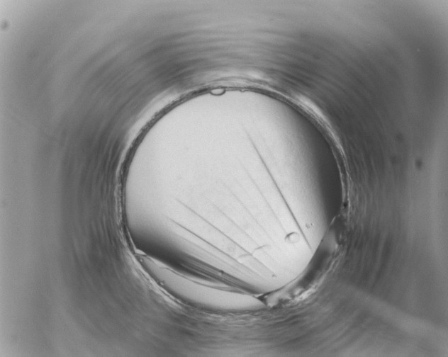 X0000053091384200508081300