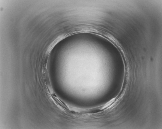 X0000053091385200508081300