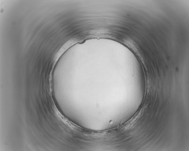 X0000053091386200508081259