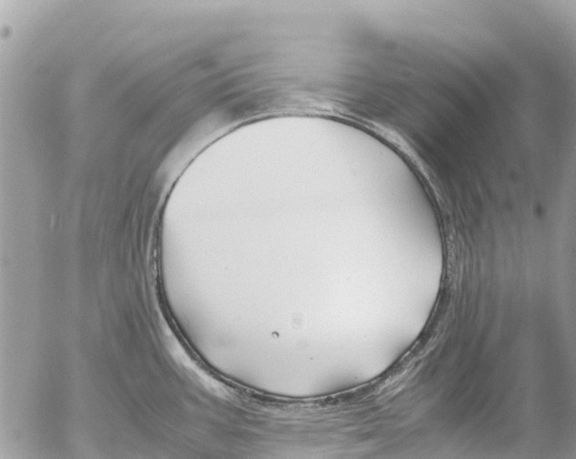 X0000053091387200508081259