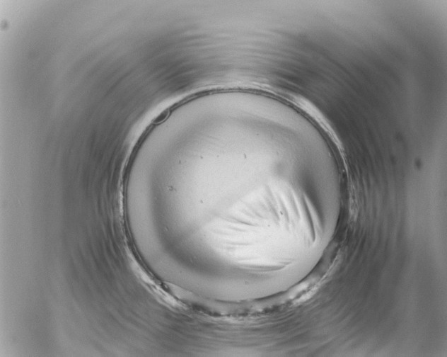 X0000053091388200508081259