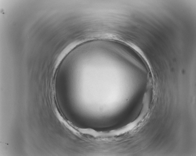 X0000053091389200508081259