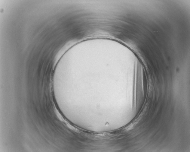 X0000053091390200508081259