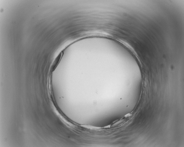 X0000053091391200508081259