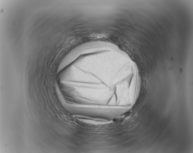 X0000053091393200508081259