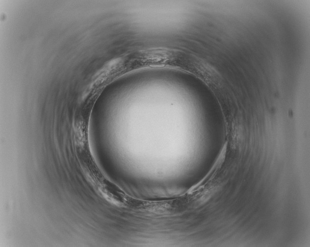 X0000053091394200508081259