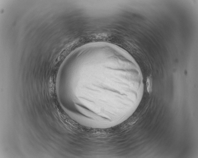 X0000053091395200508081259