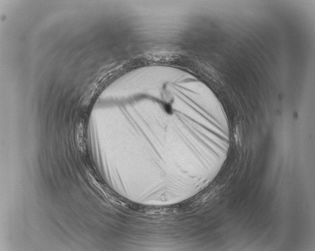 X0000053091396200508081259