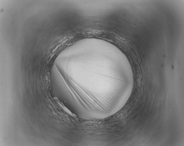 X0000053091397200508081259