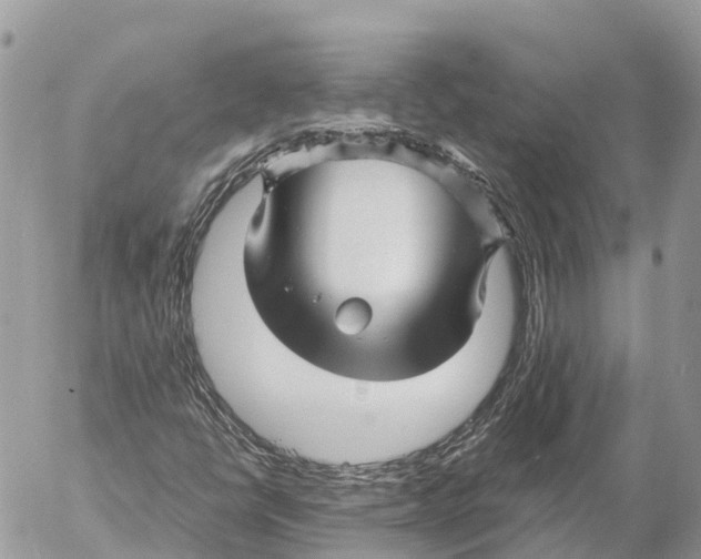 X0000053091398200508081259