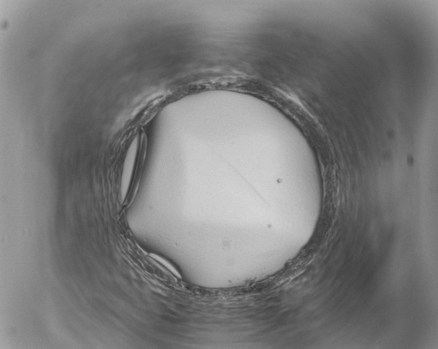 X0000053091399200508081259