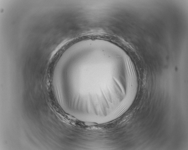 X0000053091400200508081259