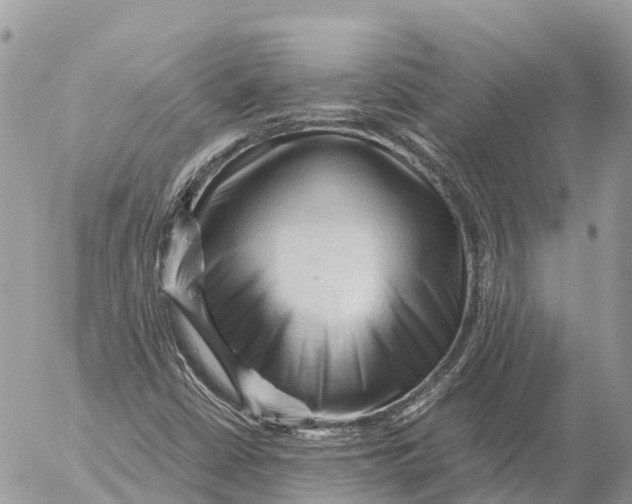 X0000053091402200508081259