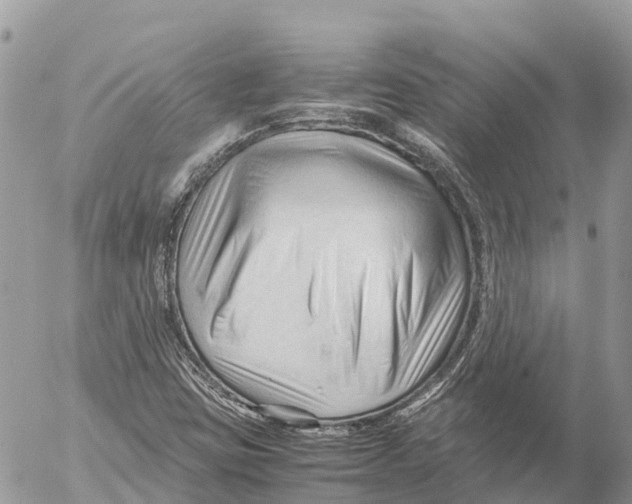 X0000053091403200508081259