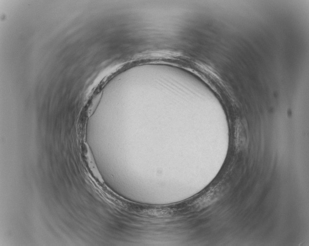 X0000053091404200508081259