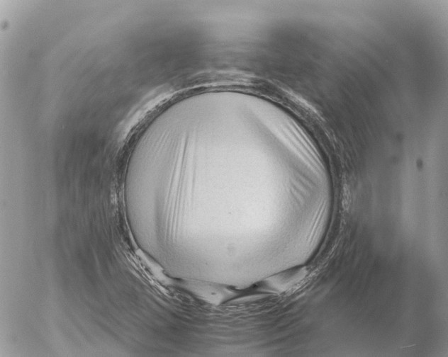 X0000053091407200508081259