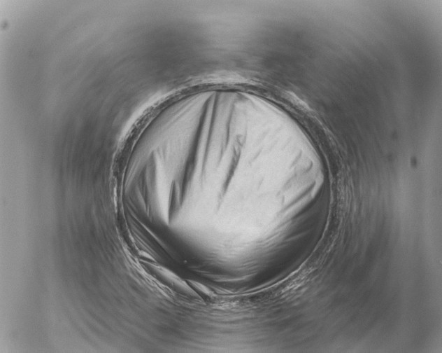 X0000053091408200508081259