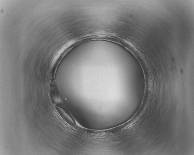 X0000053091410200508081259